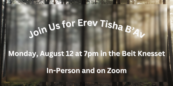 Erev Tisha B'Av Service