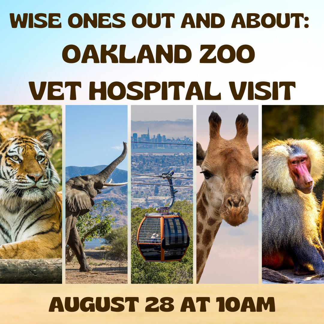 Wise Ones Out and About: Oakland Zoo Vet Hospital Visit