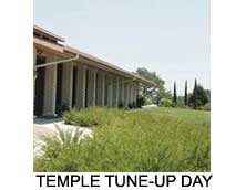 Temple Tune-Up Day